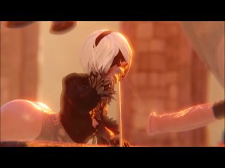nier | mfr