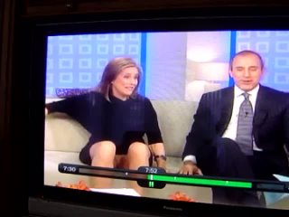 meredith viera upskirt